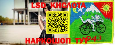молекула духа Будённовск
