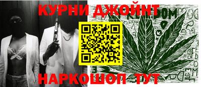 молекула духа Будённовск